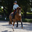 Nadia - Long Sleeve Riding Shirt