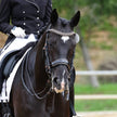 Aurelia Rose Gold Black Patent Double Bridle