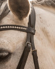 Kingsley Snaffle Bridle