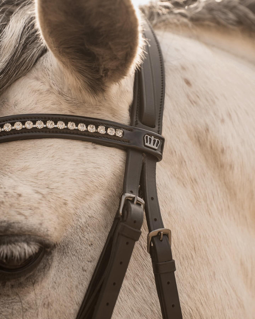 Kingsley Snaffle Bridle