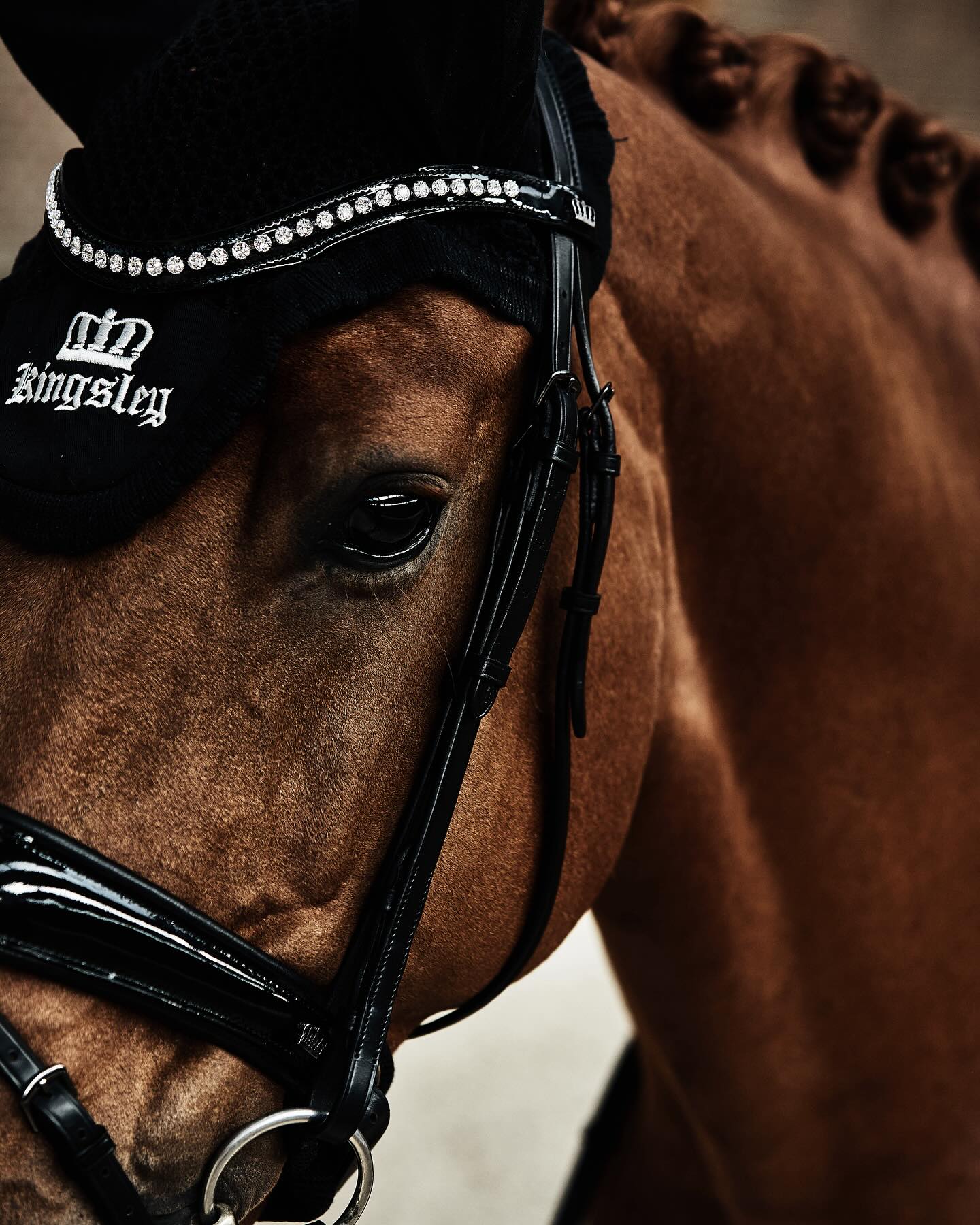 Kingsley Snaffle Bridle