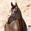 Deauville - Brown Leather Anatomical Jumper Bridle