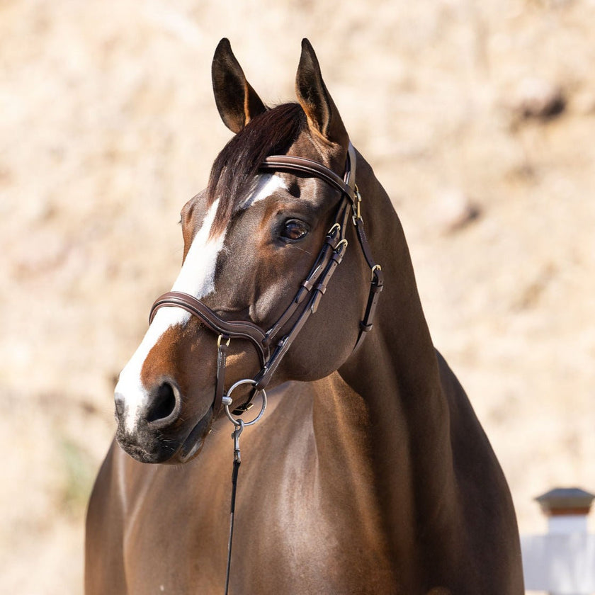 Deauville - Brown Leather Anatomical Jumper Bridle