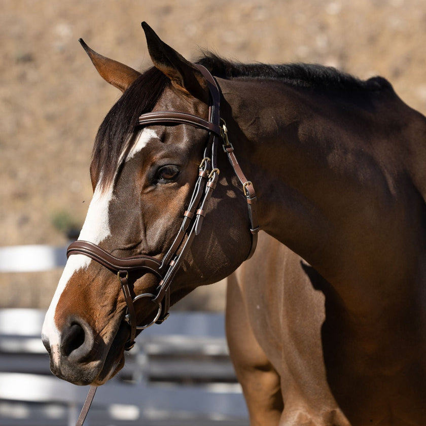 Deauville - Brown Leather Anatomical Jumper Bridle