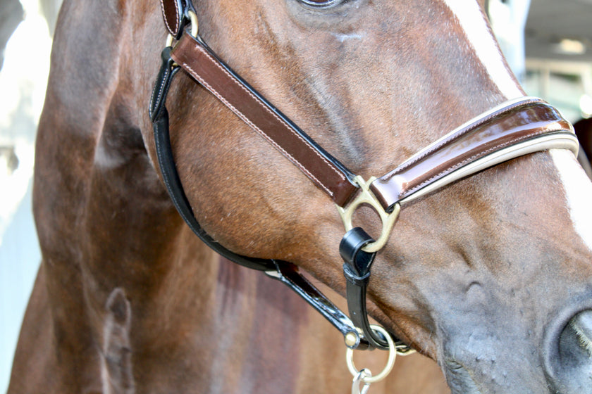 Catalonia Metallic Bronze Black Leather Halter