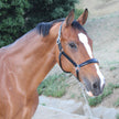 Tuscany Black Leather Halter with Cognac Padding