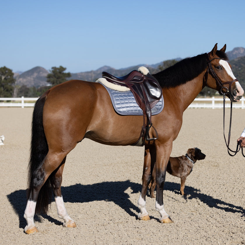 Satin Classic Jump Saddle Pad - Platinum