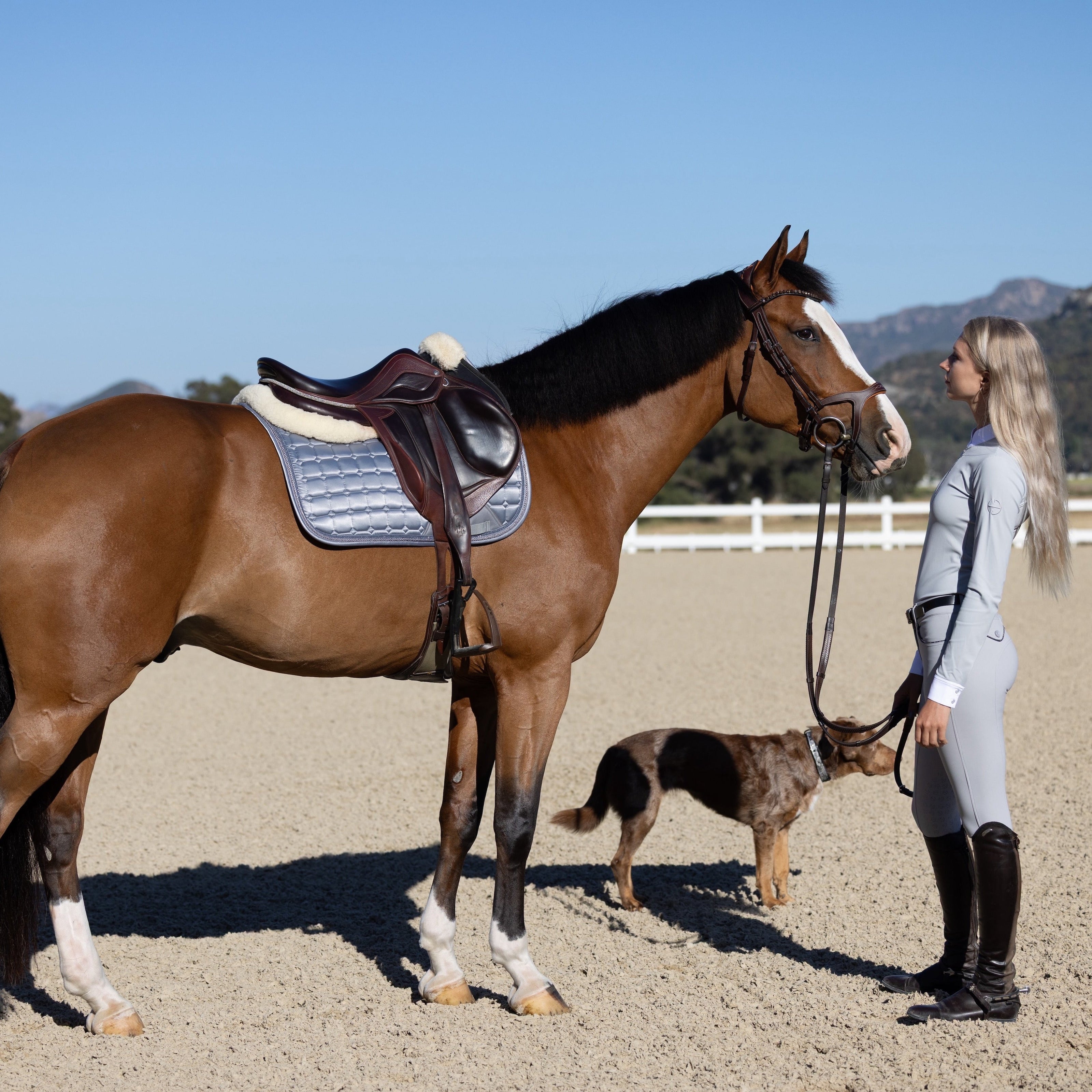 Satin Classic Jump Saddle Pad - Platinum