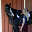 The Liberty Navy Leather Jumper Bridle
