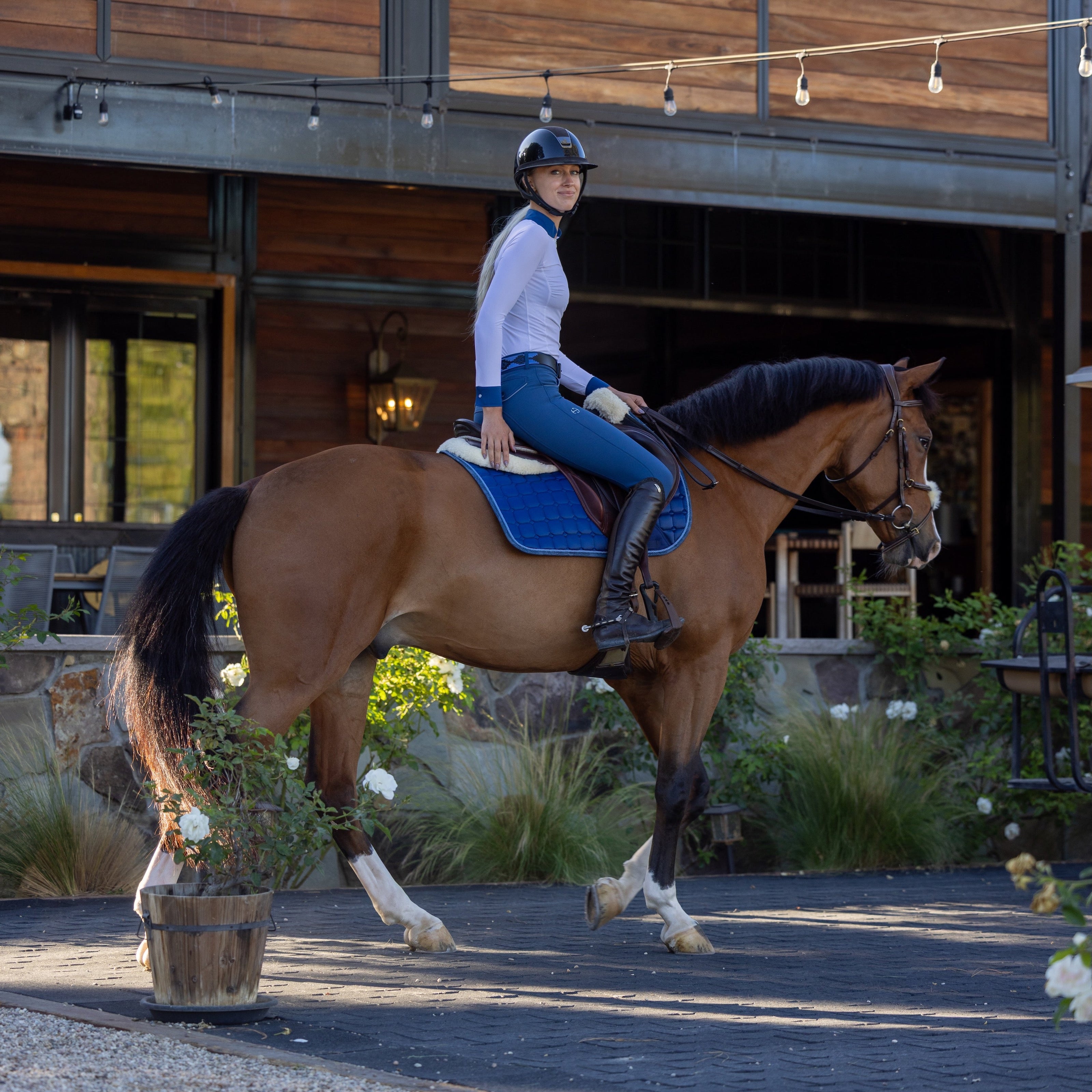 Evolution Knee Patch Breeches - Cadet Blue