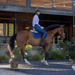 Evolution Knee Patch Breeches - Cadet Blue