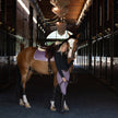 Evolution Knee Patch Breeches - French Lilac