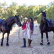 Evolution Full Seat Breeches - Desert Sand