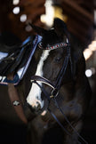 The Liberty Navy Leather Jumper Bridle