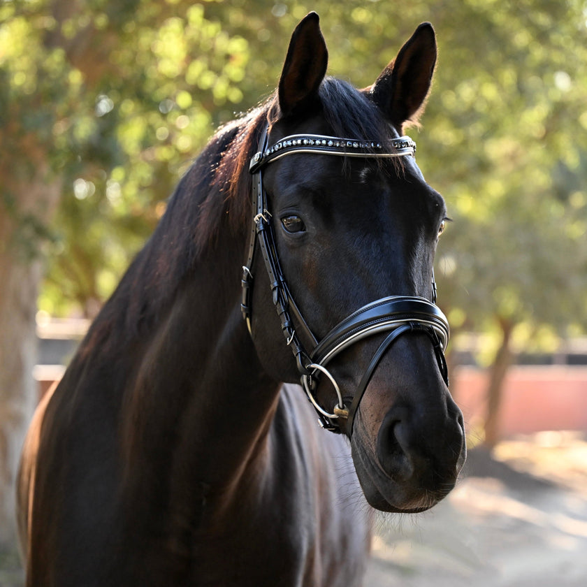 The Eiffel Tower Black Leather Snaffle Bridle